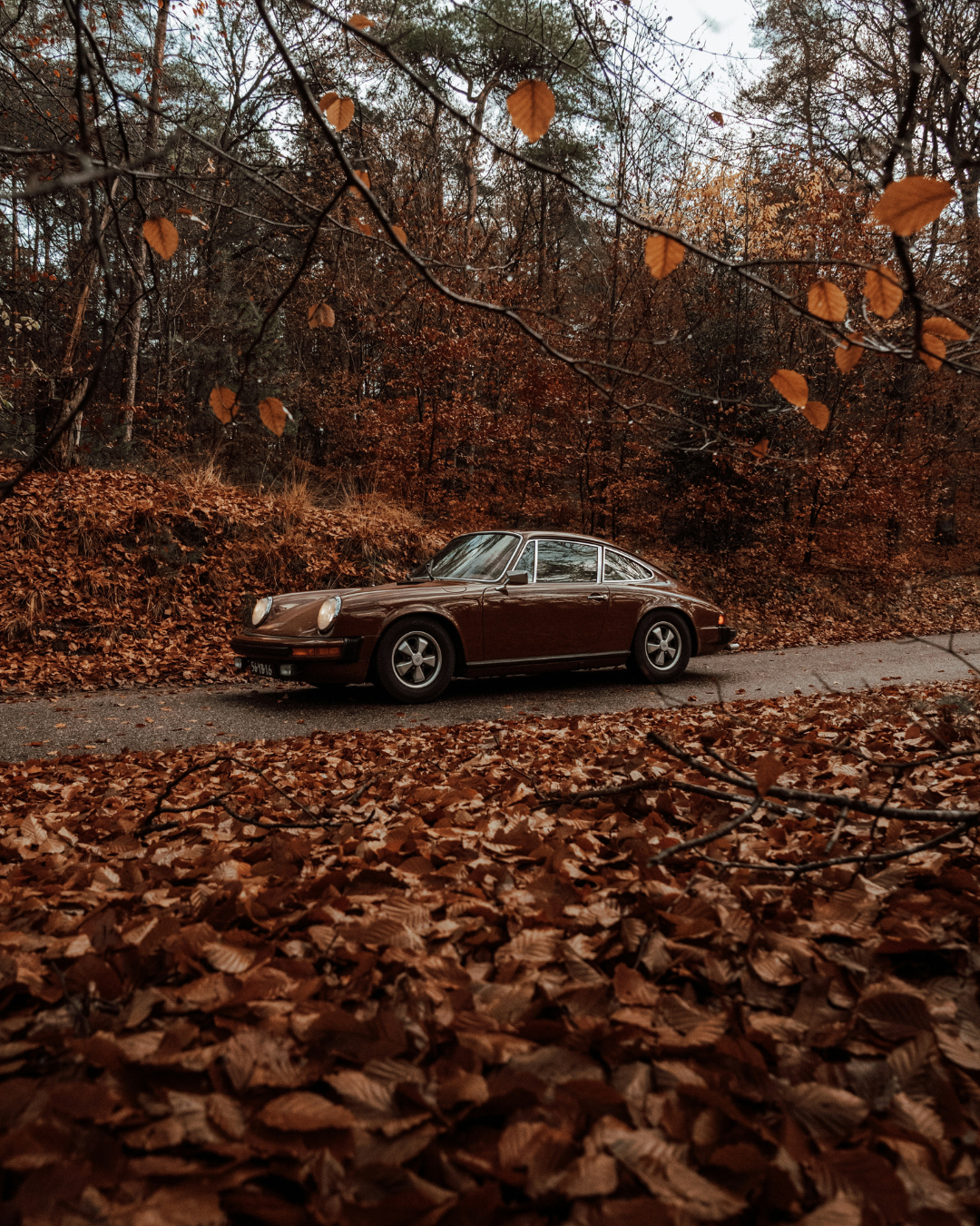 Classic brown car on a road in an autumn forest covered in fallen leaves